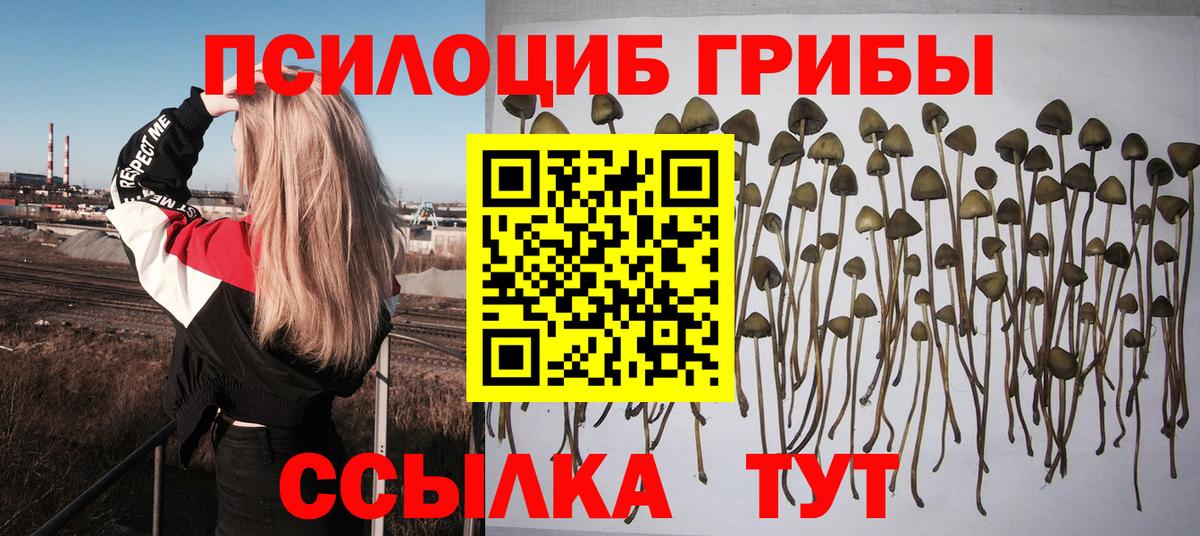 Псилоцибиновые грибы MAGIC MUSHROOMS Красноармейск